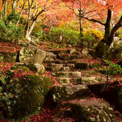 ここだけの 特別な秋 滋賀県の 人気紅葉スポット ランキングtop10 Retrip リトリップ