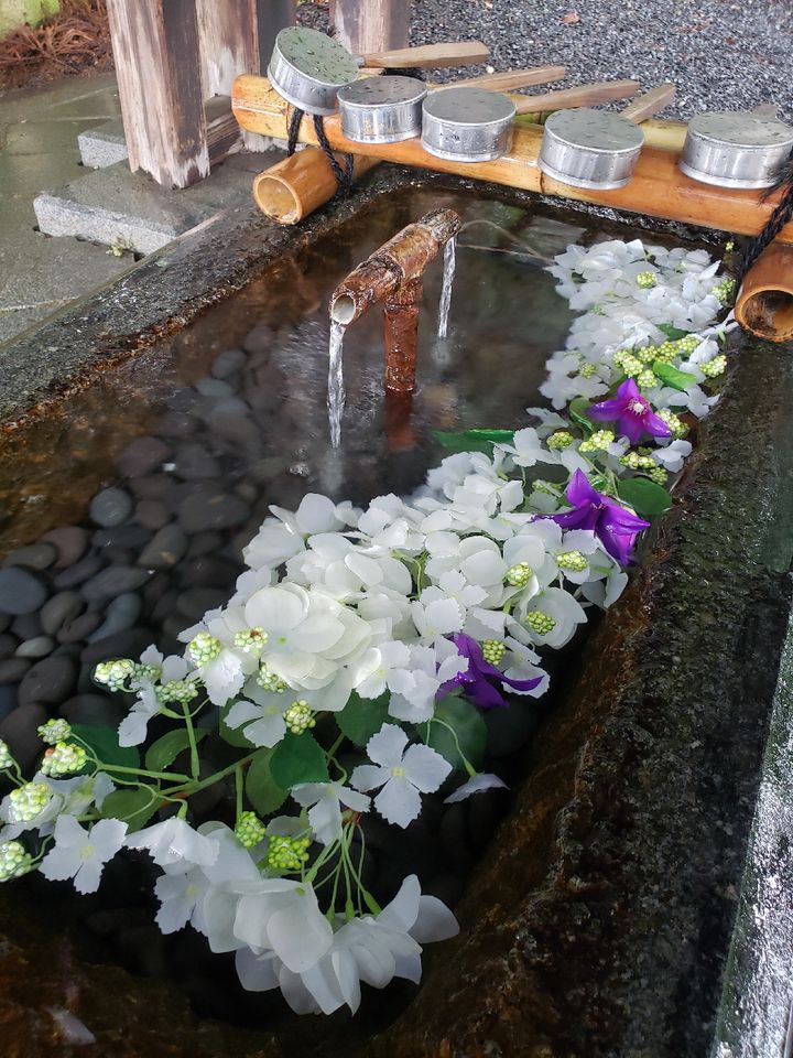 インスタで人気な花手水 はなちょうず って知ってる 全国にある花手水7選 Retrip リトリップ