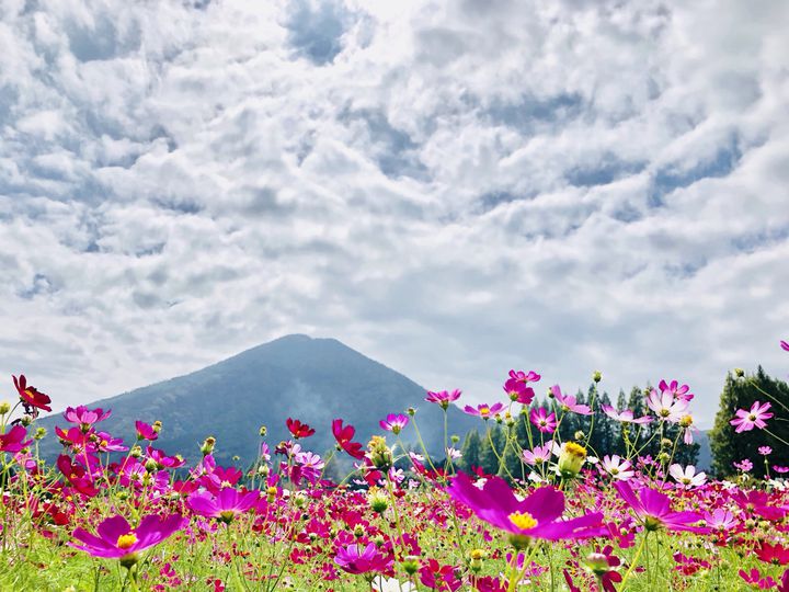 日本全国の“10月に見ることができる絶景”12選。今週末はどこへ行く  