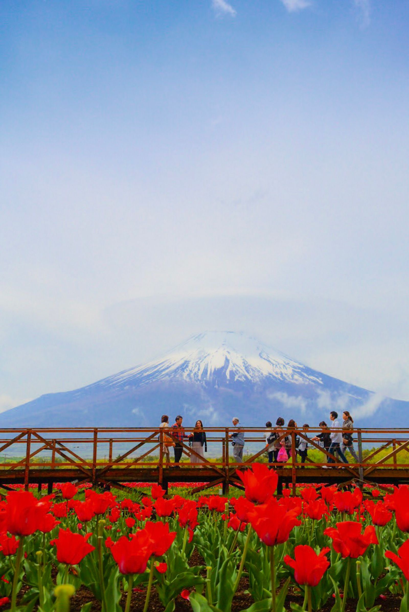 一日中楽しめる 富士山付近の立ち寄るべき人気観光スポット15選 Retrip リトリップ