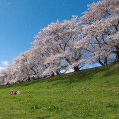 最新 久御山 八幡の人気観光スポットランキングtop30 Retrip リトリップ