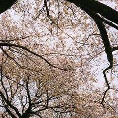 最新 山口 防府の人気スポットランキングtop30 Retrip リトリップ