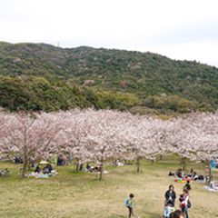最新 山口 防府の人気スポットランキングtop30 Retrip リトリップ