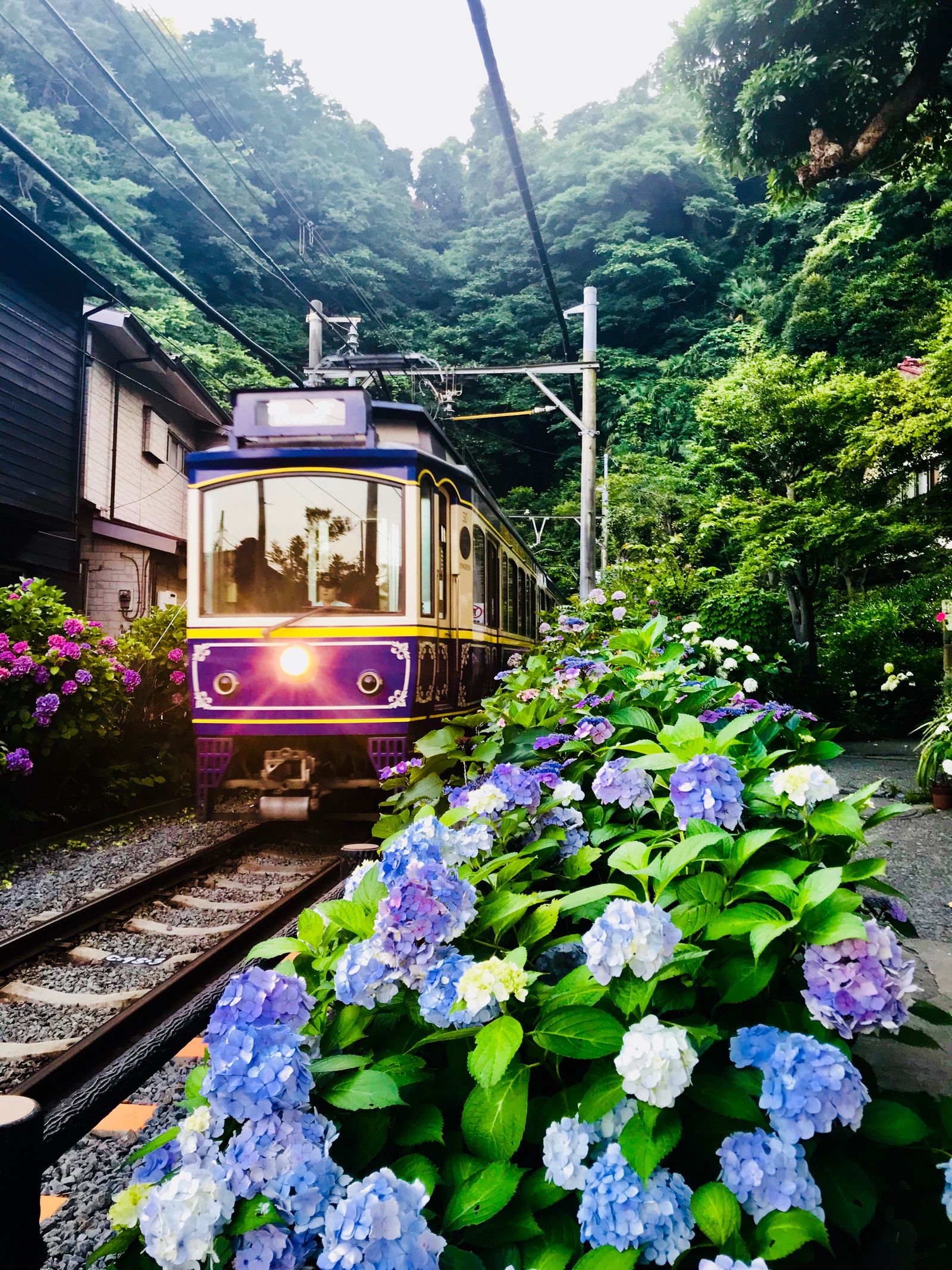 鎌倉 デート 雨