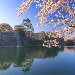 レアポケモンに必ず出会える 大阪府内の ポケモンの巣 まとめ ポケモンgo攻略 Retrip リトリップ