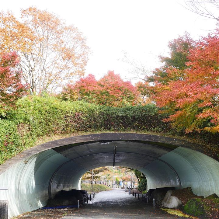 目的地が旅の全てじゃない 旅をさらに楽しくしてくれるサービスエリア7選 Retrip リトリップ