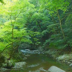 瀬戸内の四季を満喫しよう 広島日帰りツーリングにおすすめな絶景スポット5選 Retrip リトリップ