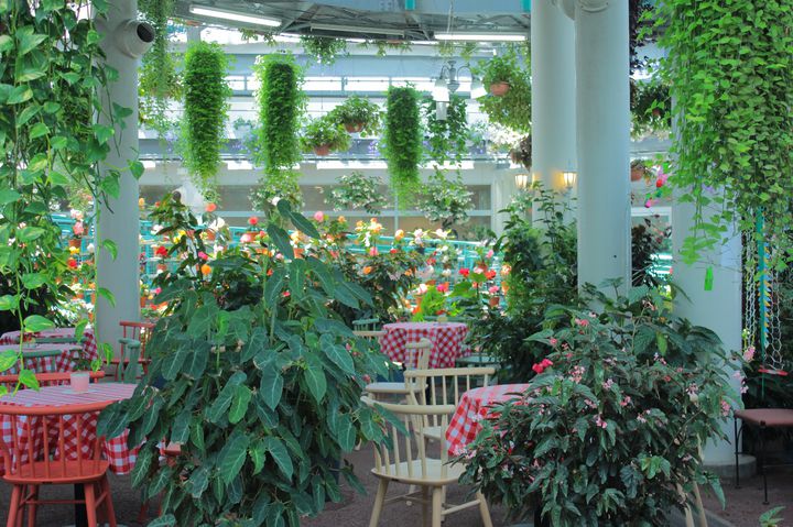 東北の春はこれから 東北地方の旅したくなる 春のお花畑スポット 10選 Retrip リトリップ