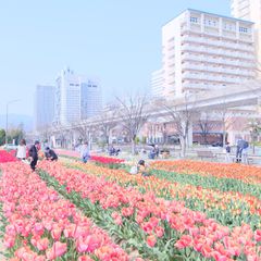 素敵な女子旅をしませんか 兵庫県の一度は訪ねたいおすすめ観光スポット選 Retrip リトリップ