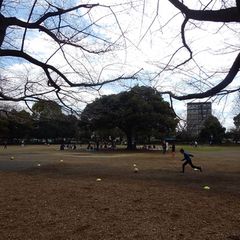 写真一覧 夏の雲公園 Retrip リトリップ