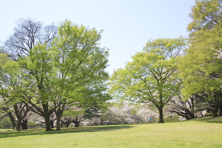 Gwは公園に行こう 東京都内の ピクニックで行きたい 公園9選 Retrip リトリップ