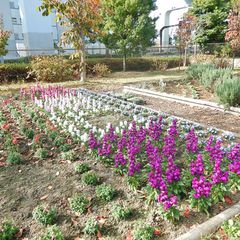 21最新 有明テニスの森駅周辺の人気バーベキュー場ランキングtop3 Retrip リトリップ