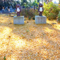 まだ見ぬ景色にきっとあなたも驚く 群馬県 館林市 の魅力5選 Retrip リトリップ