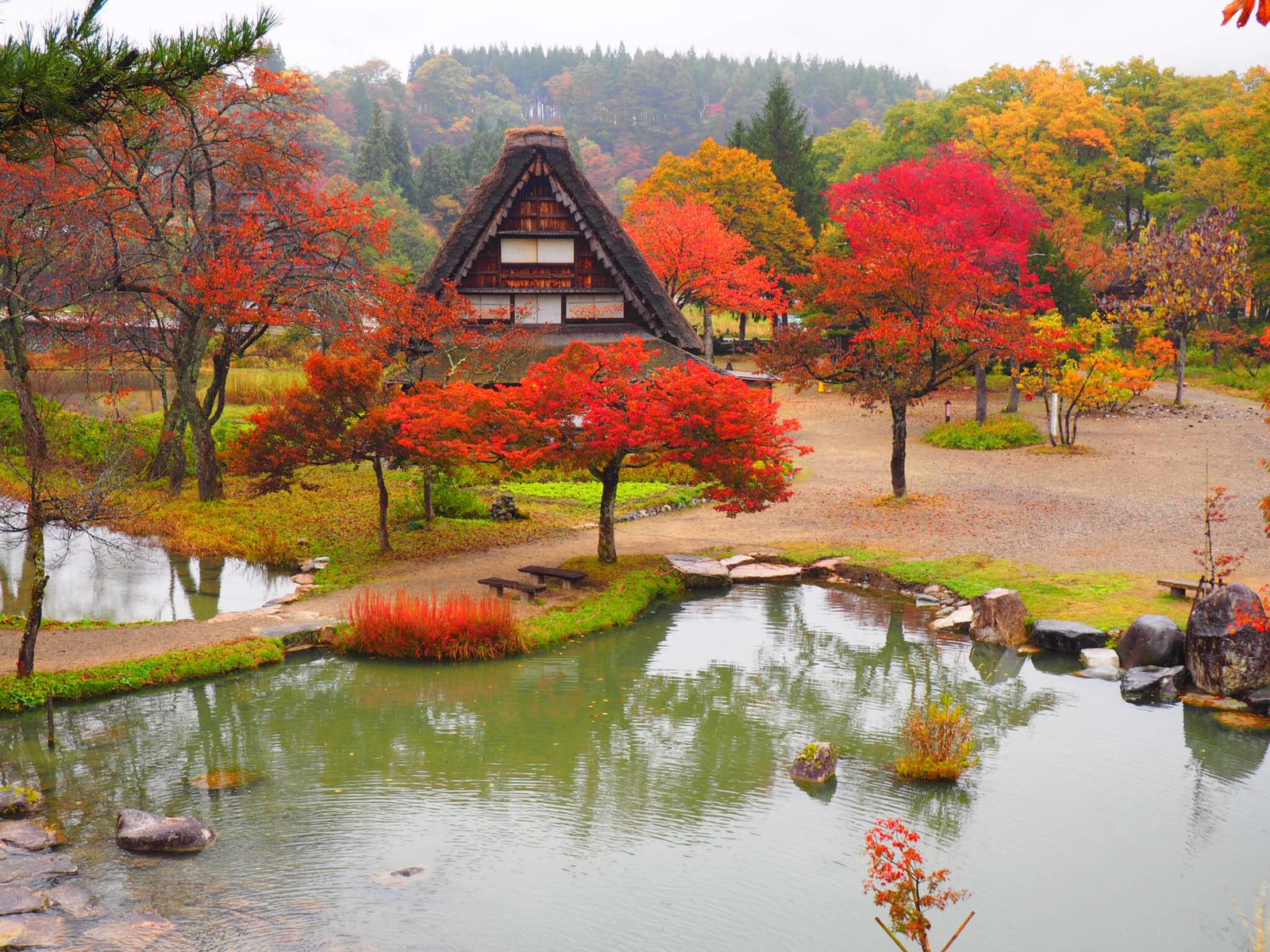 5枚目の画像 風情ある日本の秋 合掌造りで有名な 白川郷 が紅葉で彩られる Retrip リトリップ