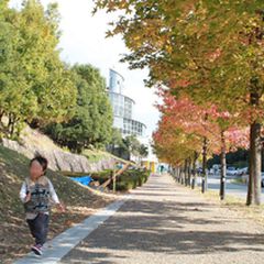 お金を使わなくても こんなに遊べる 和歌山のおすすめ公園15選 Retrip リトリップ