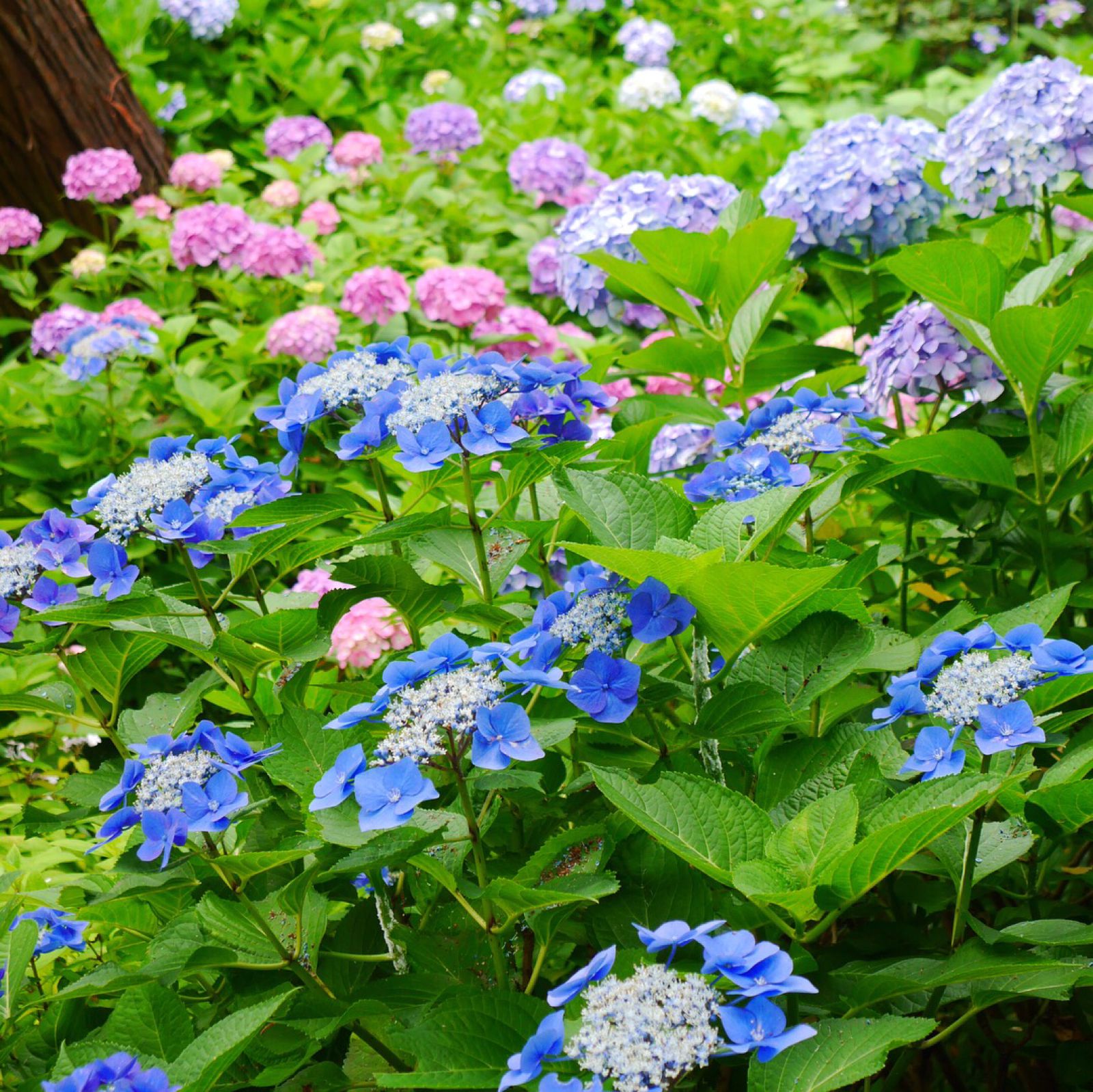 雨音と共に楽しみませんか 奈良のおすすめ観光スポット10選 Retrip リトリップ