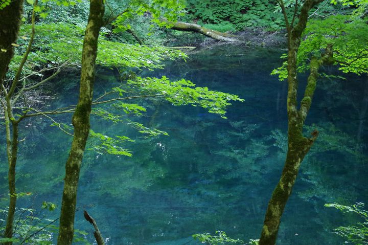 今年の梅雨が待ちきれない！雨の日だから美しい日本の“深緑の絶景”10選