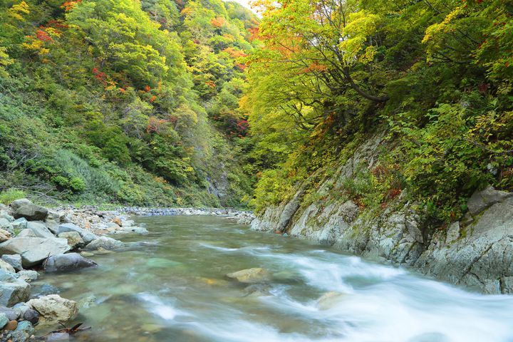 夏の疲れを癒す旅へ 日本全国の緑に囲まれた 大自然の絶景 7選 Retrip リトリップ