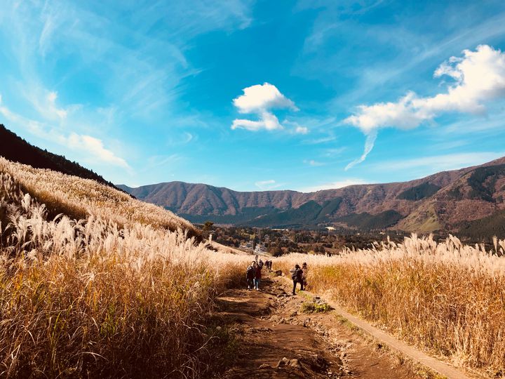 秋の 箱根カメラ旅 はここへ ススキの名所 仙石原高原 に行ってみたい Retrip リトリップ