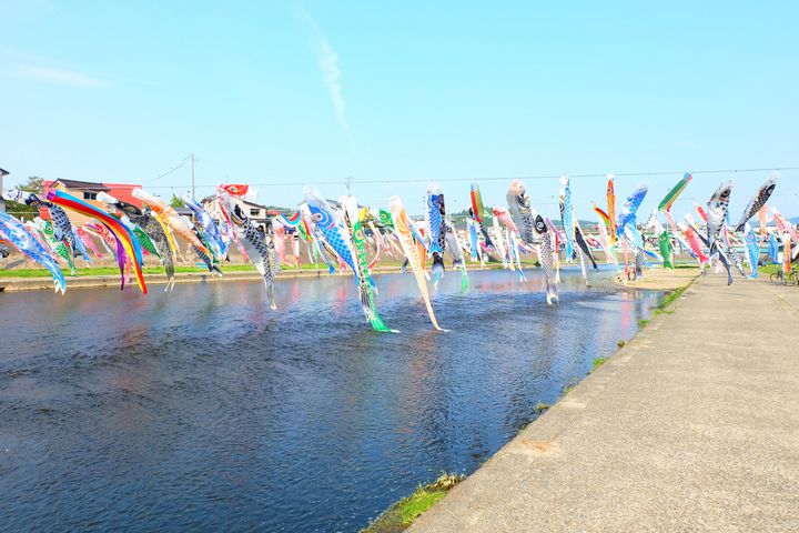 終了 600匹の鯉のぼりが空を舞う 新潟県にある加茂川にいってみよう Retrip リトリップ