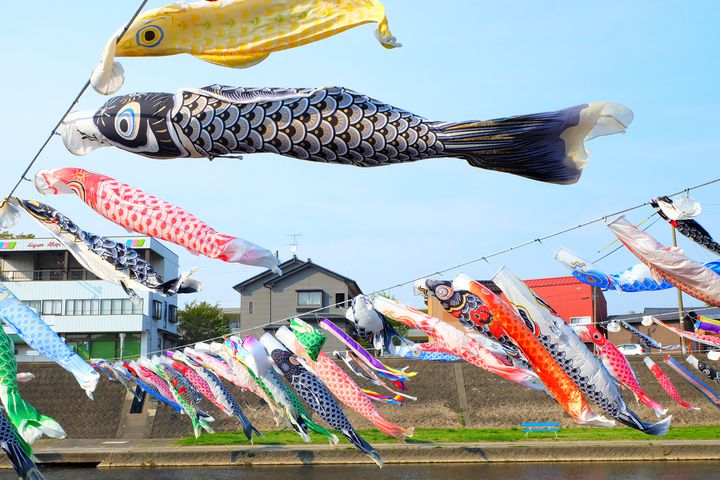 終了 600匹の鯉のぼりが空を舞う 新潟県にある加茂川にいってみよう Retrip リトリップ