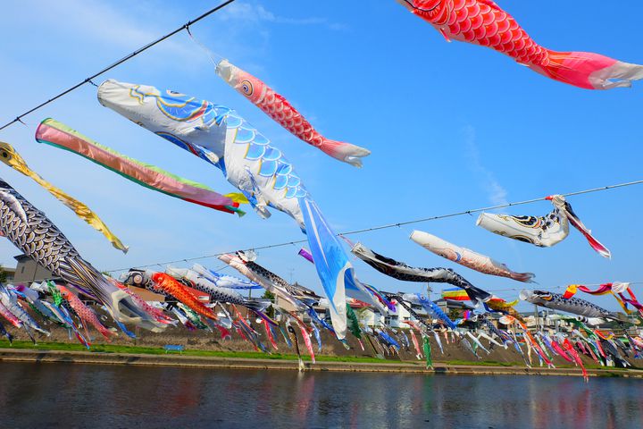 【終了】600匹の鯉のぼりが空を舞う。新潟県にある加茂川にいってみよう