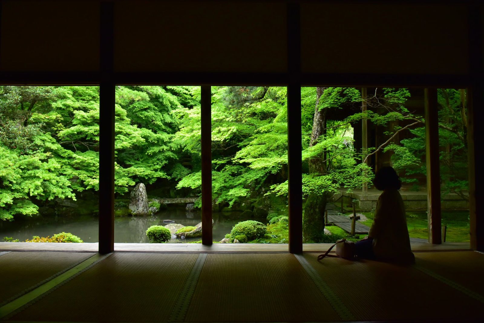 深緑の美しさに魅了される！絵画のような緑の世界広がる「蓮華寺