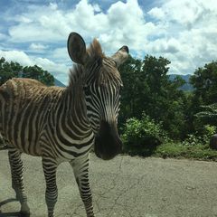 大分のママさん必見 子供の遊び場おすすめスポット7選 Retrip リトリップ