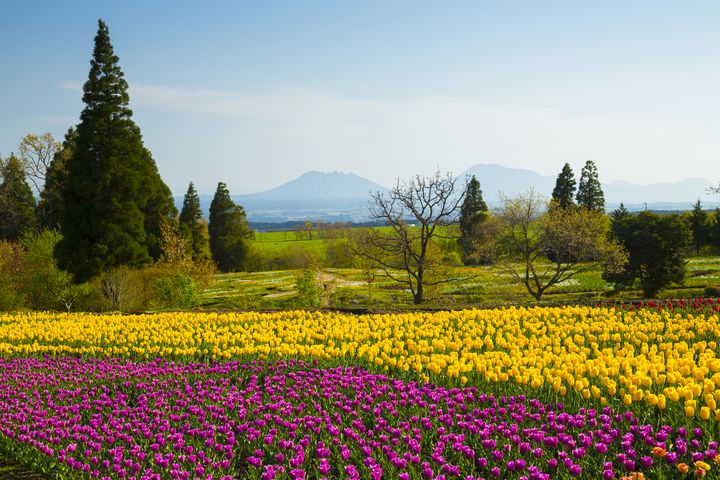 Gwはお花畑でのんびりしたい 九州地方の華麗なる観光スポットここだ Retrip リトリップ