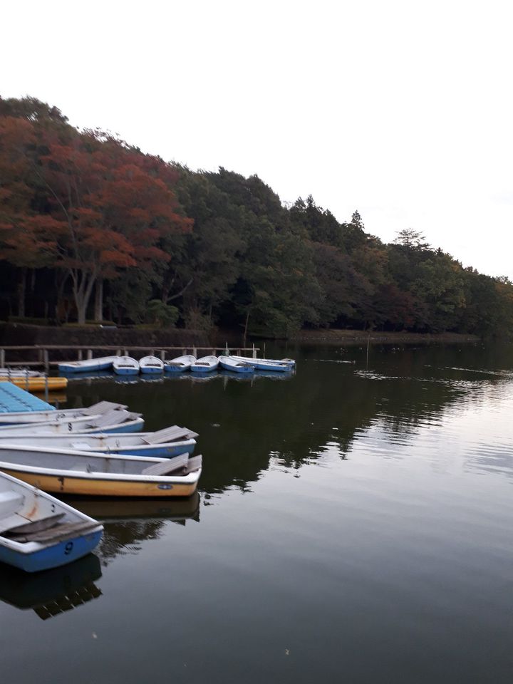 休日に子供とのびのび遊ぼう 栃木県内のおすすめ公園まとめ16選 Retrip リトリップ
