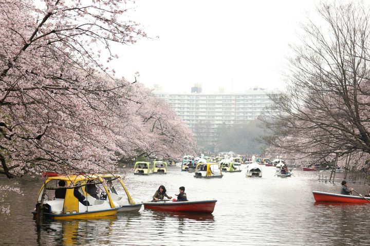 忙しいカップル・遠出OKカップル必見！滞在時間別3月のデートプラン10選 | RETRIP[リトリップ]