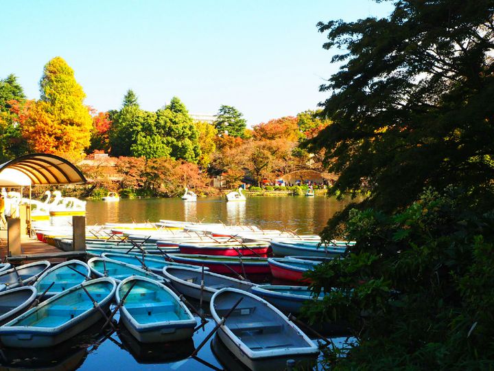 無料で絶景が見たい 東京都内で12月までが見頃のおすすめ 紅葉スポット 10選 Retrip リトリップ