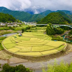 No.3【紀美野の水田里風景】