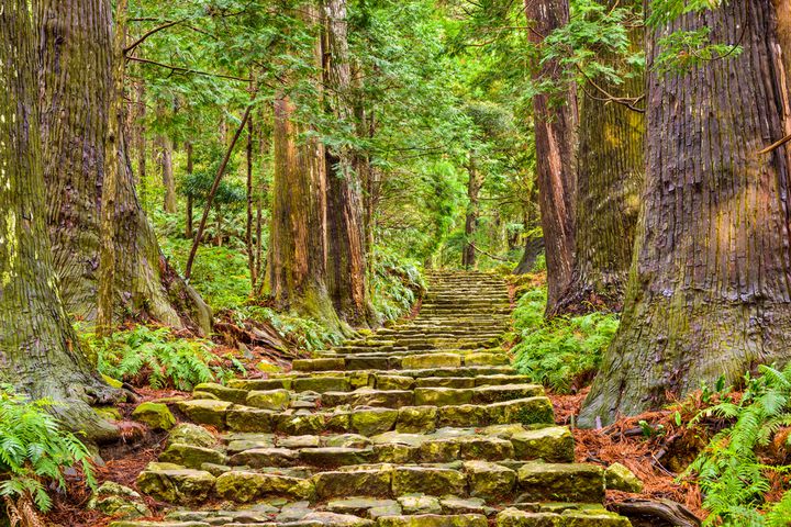 和歌山県の世界遺産『熊野古道』と『高野山』の魅力＆楽しみ4選