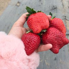 ニュース画像