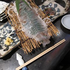 生きたまま喰らう幸せ 関東で海鮮の 踊り食い ができるお店7選 Retrip リトリップ