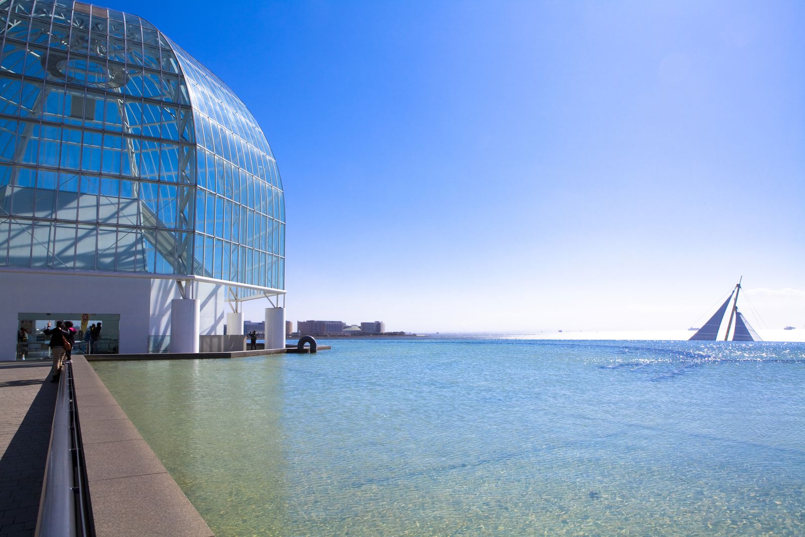 生きるために泳ぎ続けるマグロに会いに。葛西臨海水族園でし …