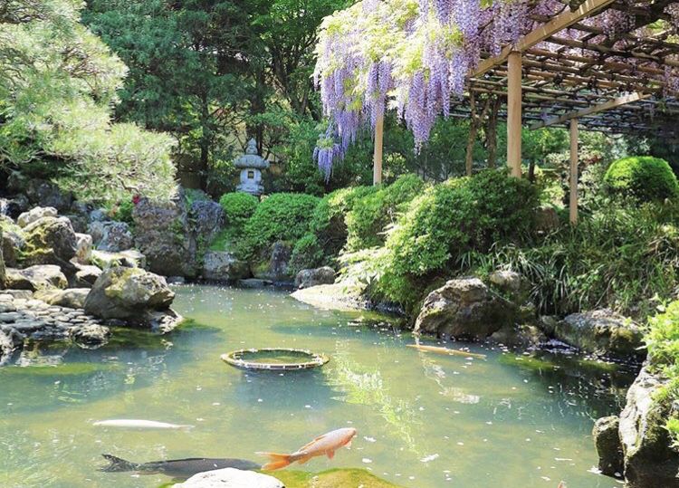 一年の計は元旦にあり 宮城県で初詣へ行くのにおすすめの神社 寺7選 Retrip リトリップ