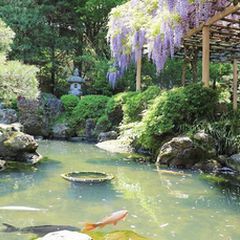 一年の計は元旦にあり 宮城県で初詣へ行くのにおすすめの神社 寺7選 Retrip リトリップ