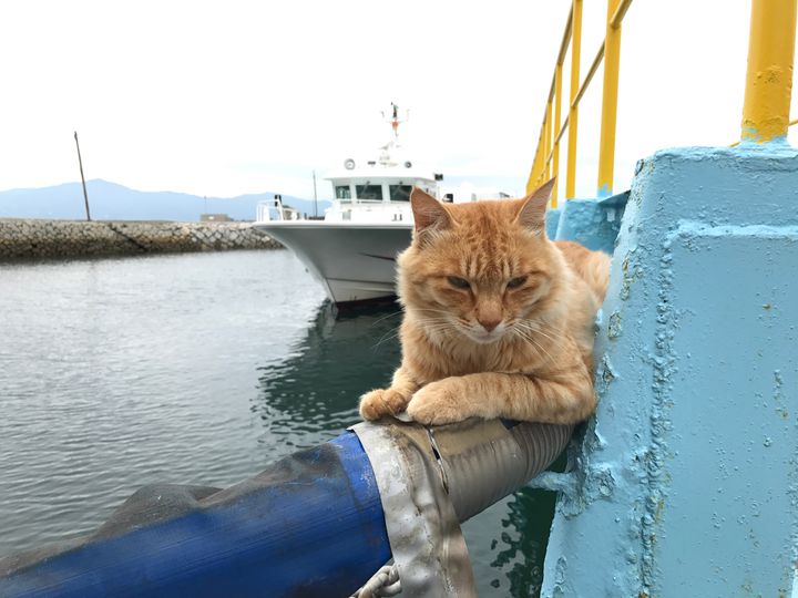 今年の夏は、写真映えの「島旅」に決まり。独自の文化を楽しめる日本の島８選