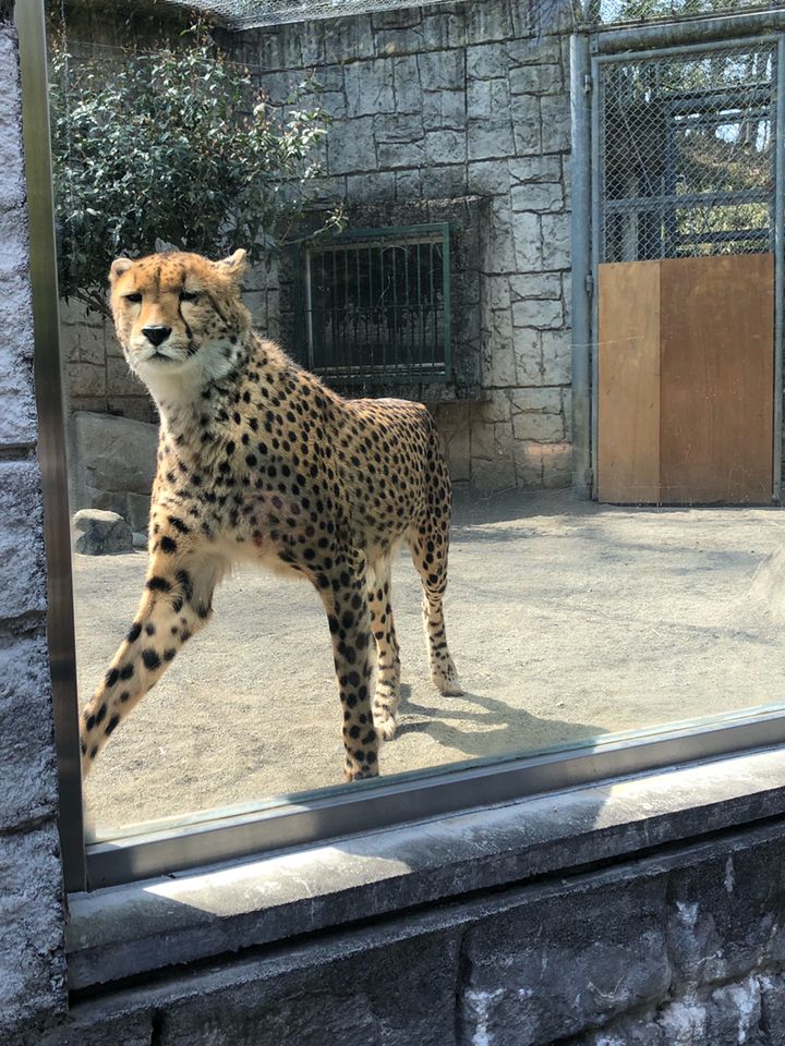 完全保存版 おすすめ12施設 東京都内の動物園 水族館まとめ Retrip リトリップ