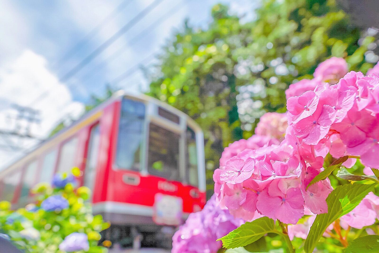 次なるトレンドは電車旅 女子旅にもぴったりなフォトジェで可愛い電車10選 Retrip リトリップ