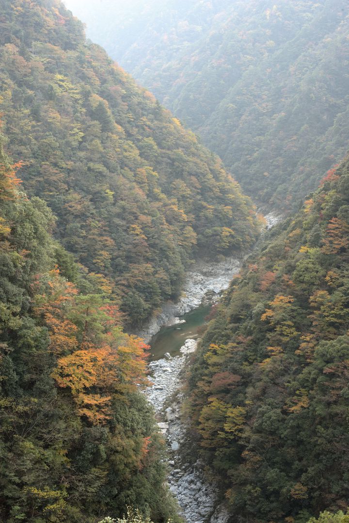 完全保存版 まさに秘境 初めての祖谷 徳島県 で絶対にやるべき観光おすすめ7選 Retrip リトリップ