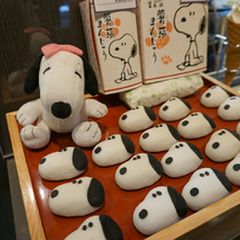 ニュース画像