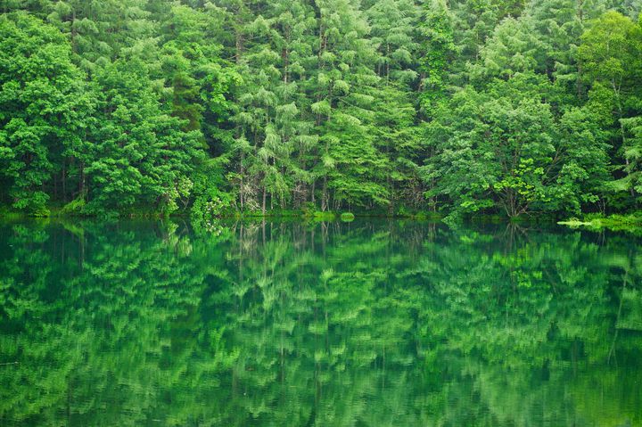 神秘的な新緑ツアーはいかが？初夏に行くべき“神秘的×新緑”の絶景10選 | RETRIP[リトリップ]