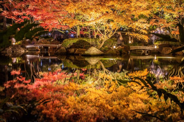 心癒される憩いの場 今行きたい 東京都内の絶景がみられる庭園10選 Retrip リトリップ