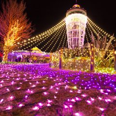 二人の愛が温かい 冬デート で行きたい 鎌倉 江ノ島 のデートスポット12選 Ava Travel アバトラベル