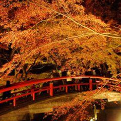 知る人ぞ知る絶景 千と千尋の神隠しのモデルになった橋 河鹿橋 が美しすぎる Retrip リトリップ