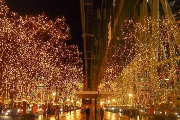 終了 これぞ仙台のクリスマス sendai光のページェント が開催 Retrip リトリップ