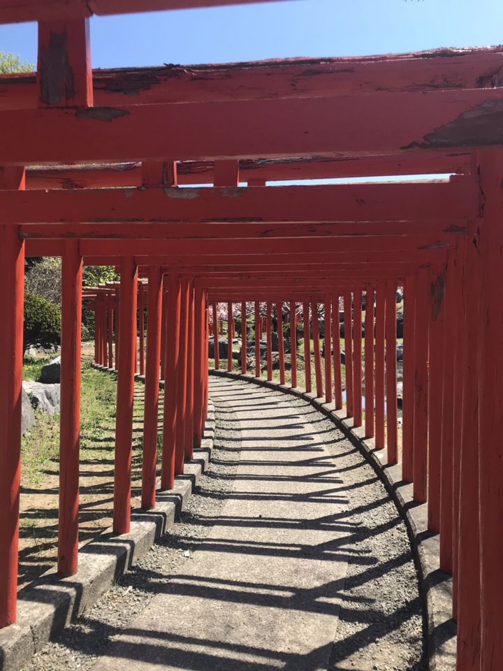 高山稲荷神社」のパワースポットとしての魅力はここにあり！ | RETRIP[リトリップ]